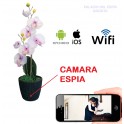 Matera Planta con Camara Espia WiFi